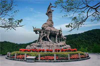 深圳95场论坛的详细介绍和实用性分析